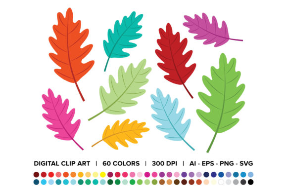 Oak Tree Leaf Clip Art Set for Decorative Graphics