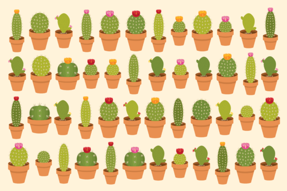 Potted Cactus Houseplant Clip Art Set for Graphics and Illustrations